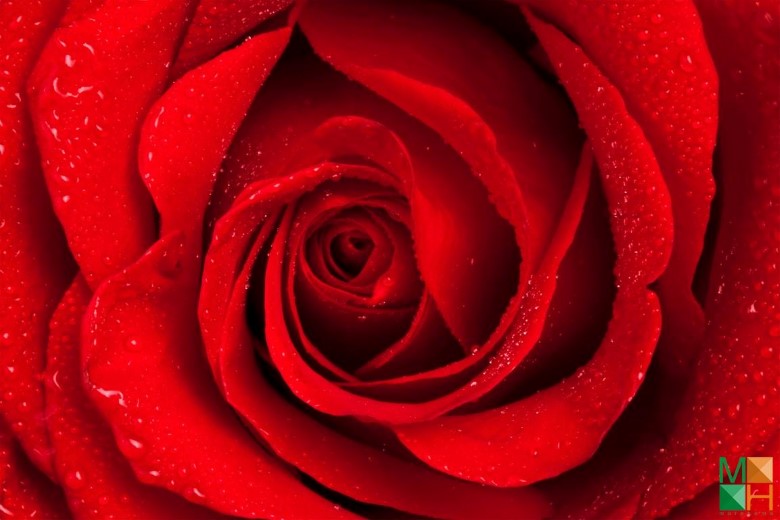 Tranh dán tường 3d đẹp cho phòng ngủ